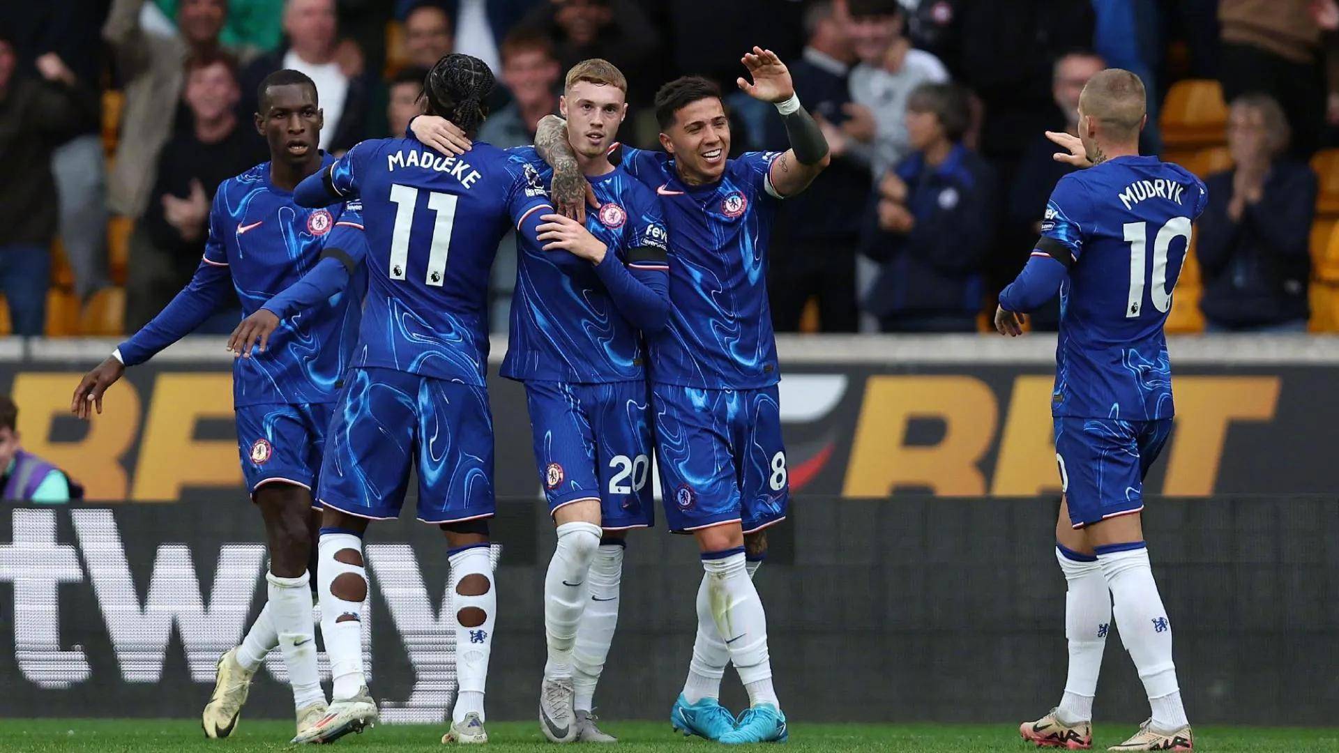 山东男篮未 山东男篮未