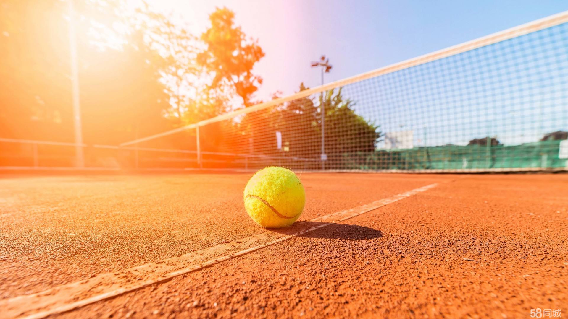 年轻球员的 年轻球员的