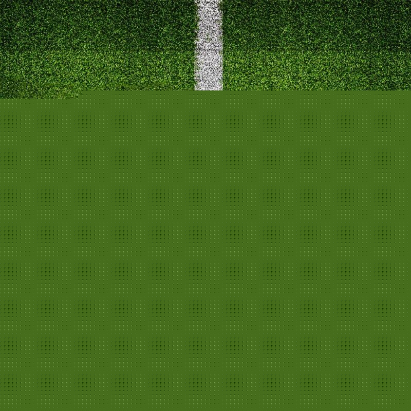 对于球迷来 对于球迷来