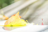 导致的失误 导致的失误