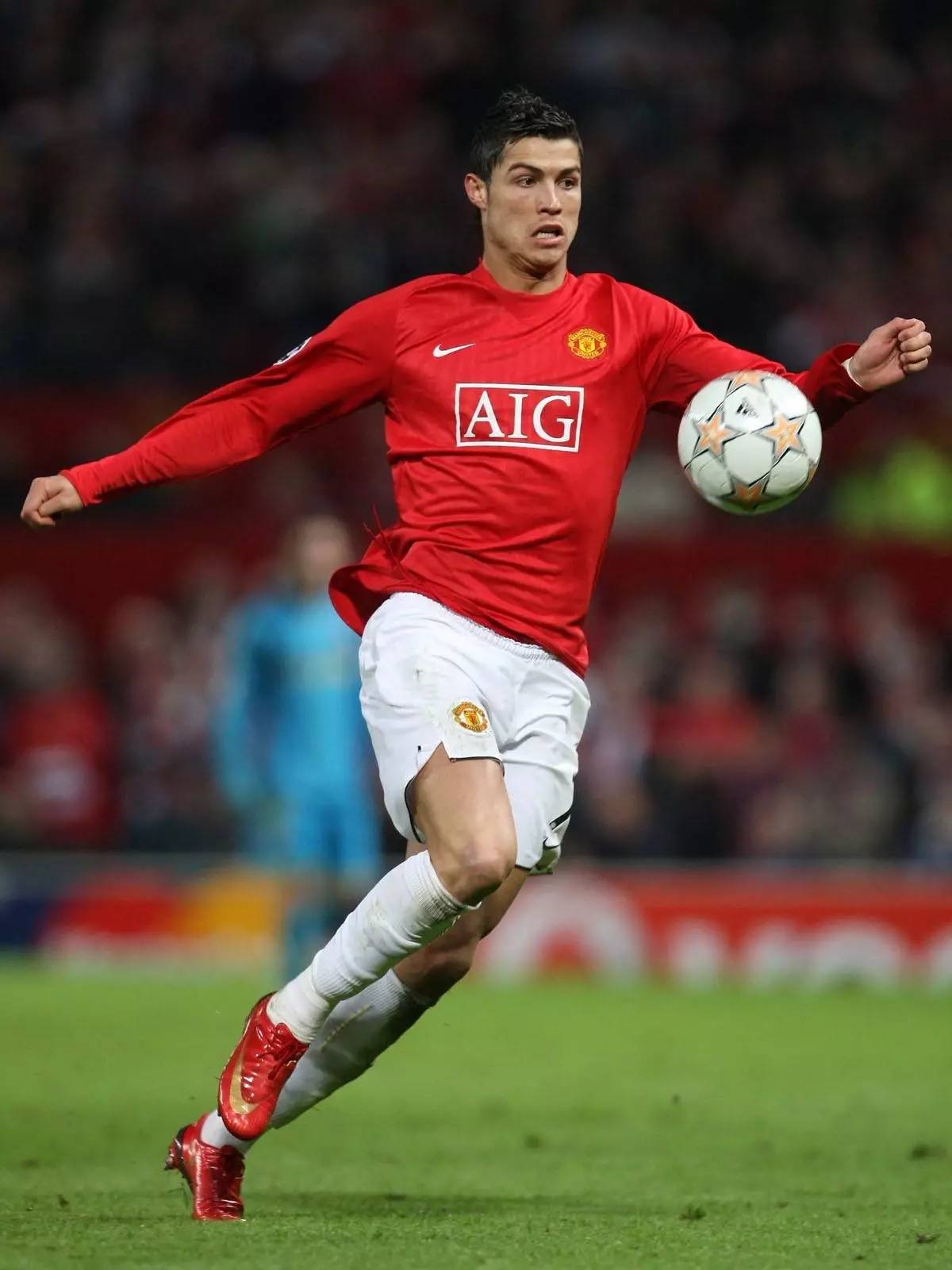 球迷中引起 球迷中引起