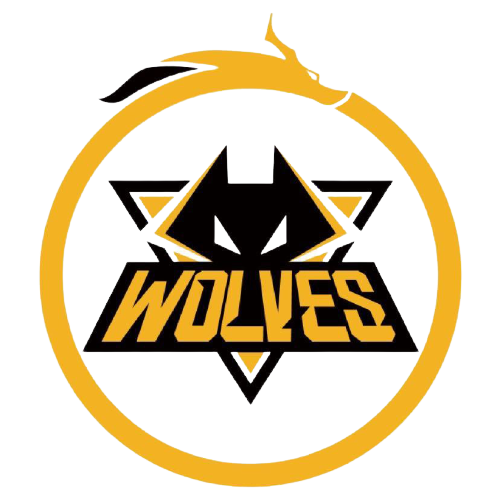 均传球成功 均传球成功